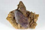 Calcite Crystals Coated With Purple (Yttrofluorite?) Fluorite #177667-1